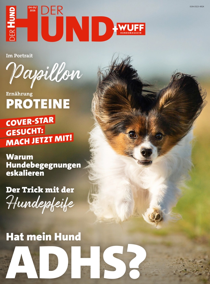 DER HUND