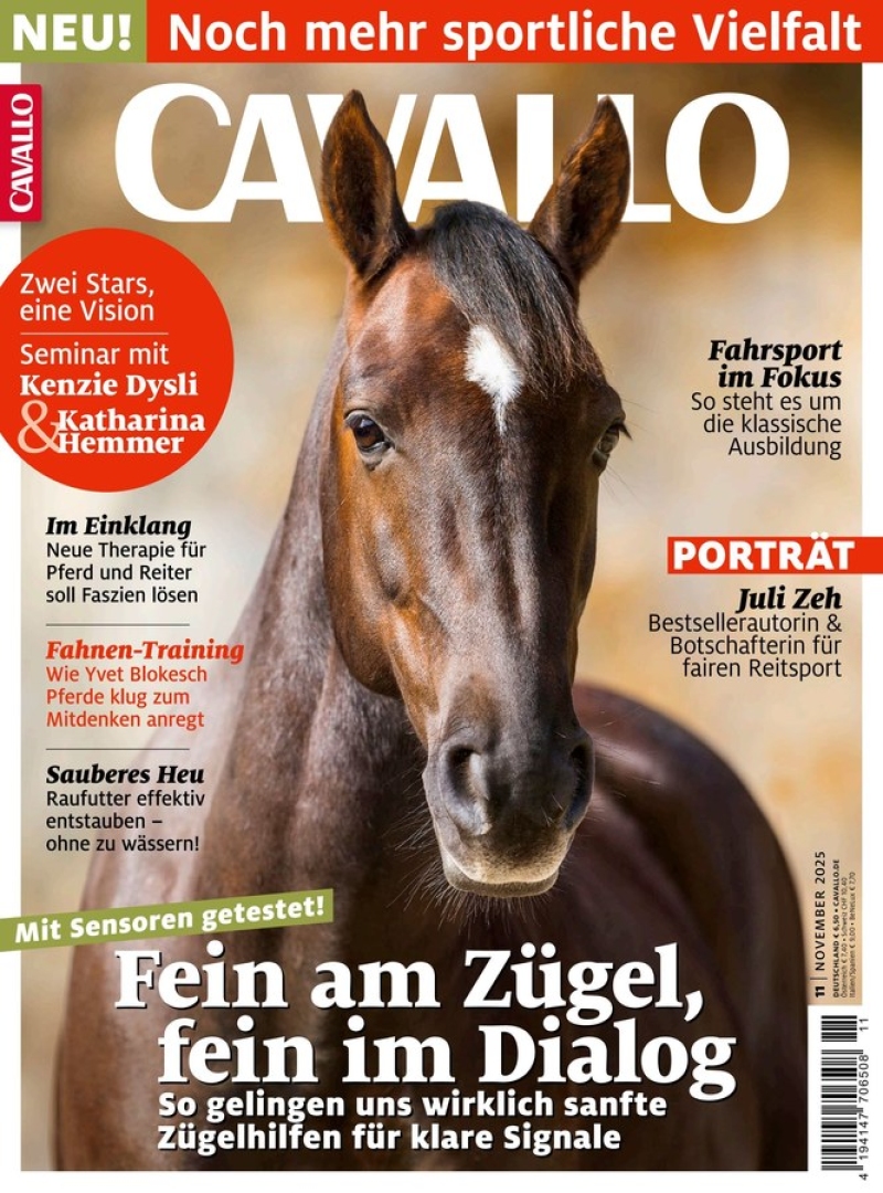 CAVALLO CAVALLO