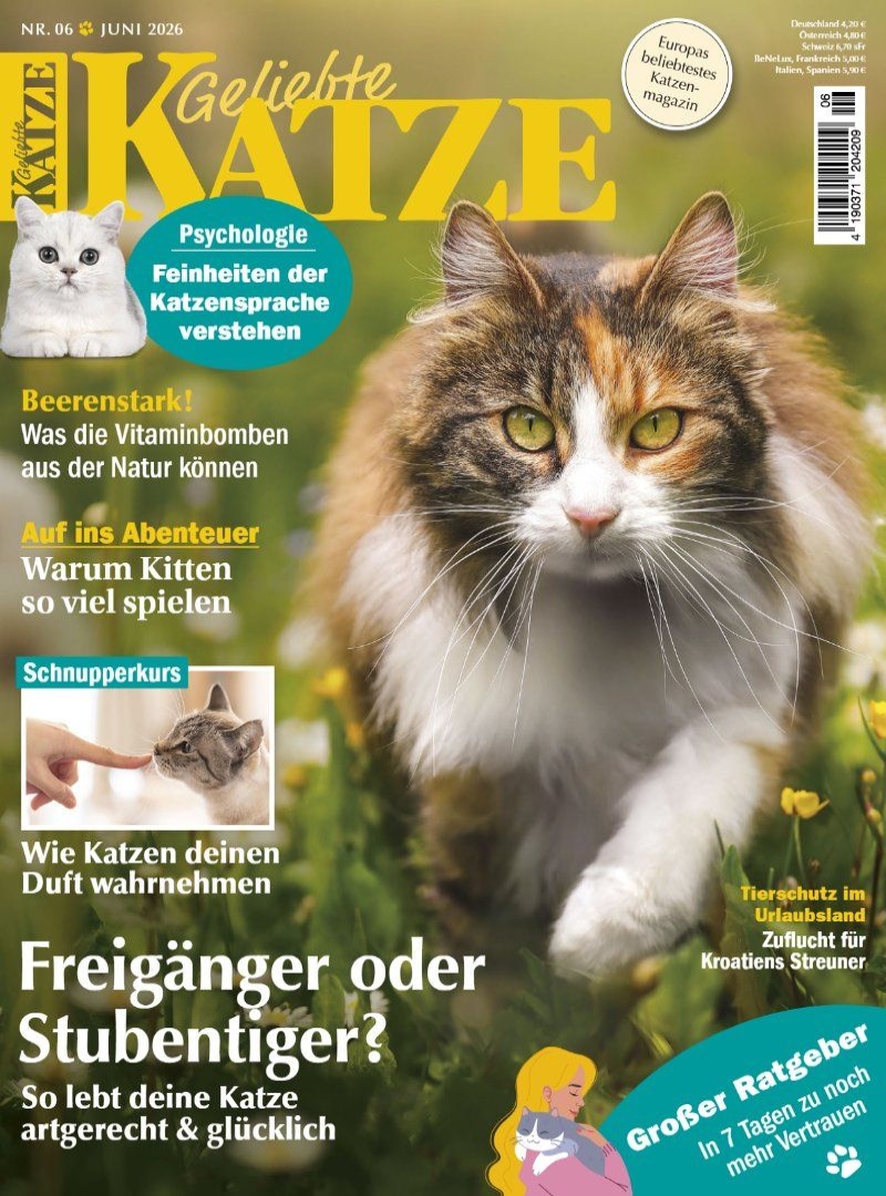Geliebte KATZE