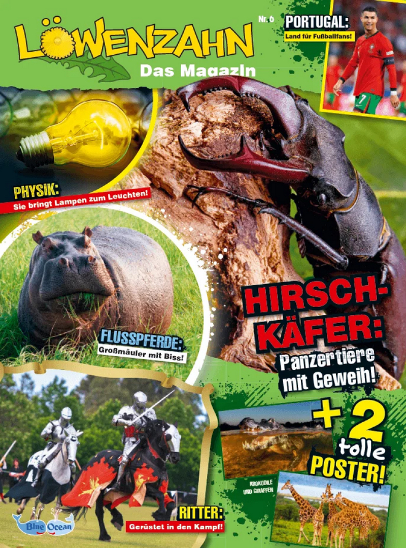 Löwenzahn