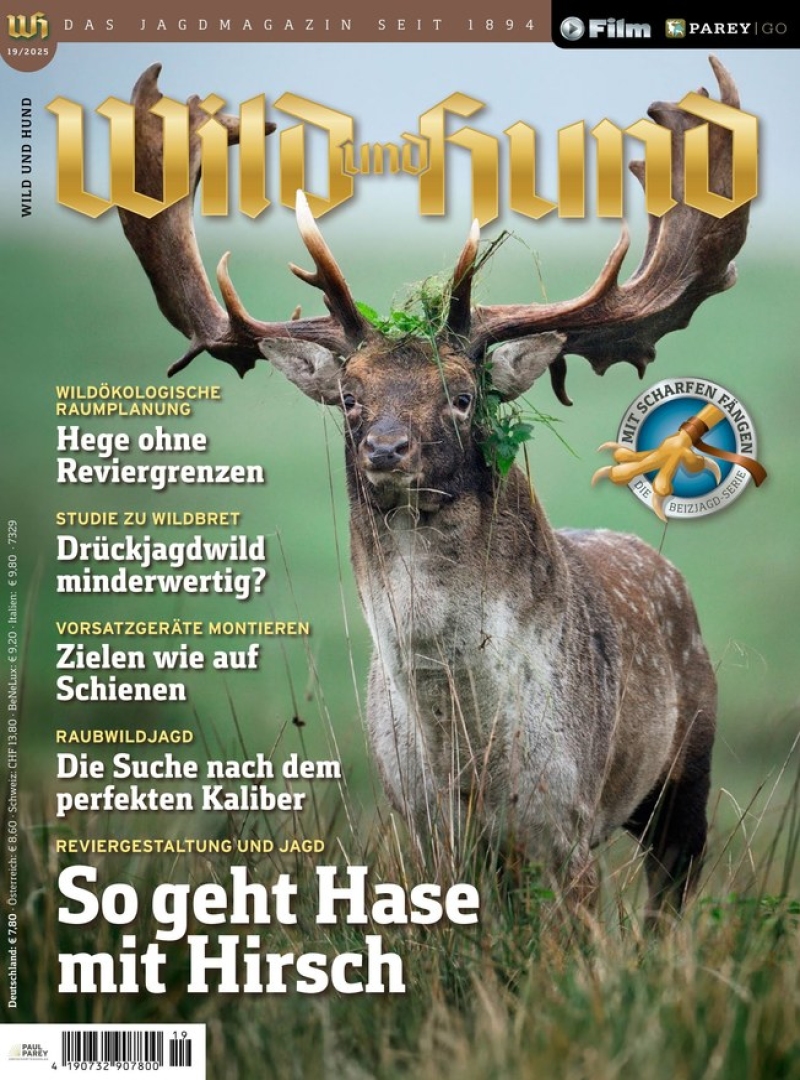 Wild und Hund