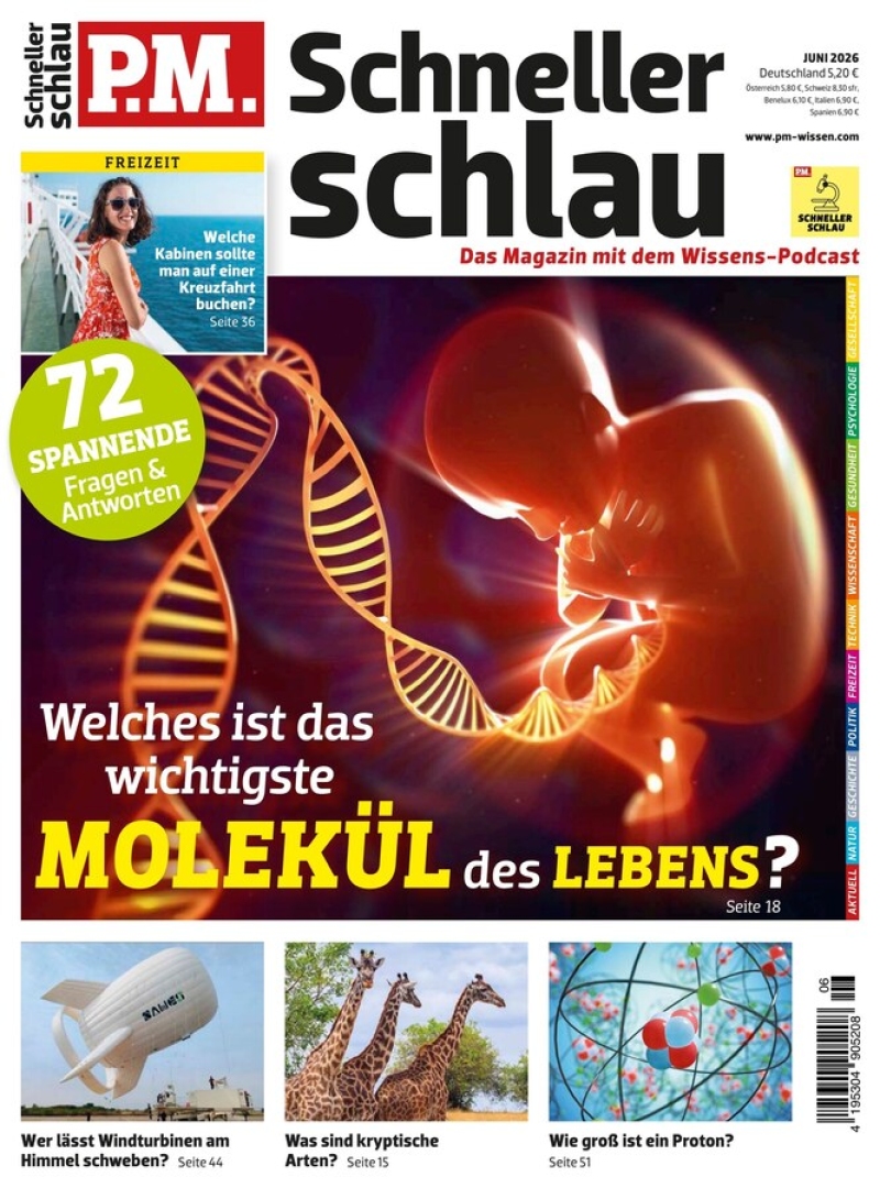 P.M. Schneller Schlau
