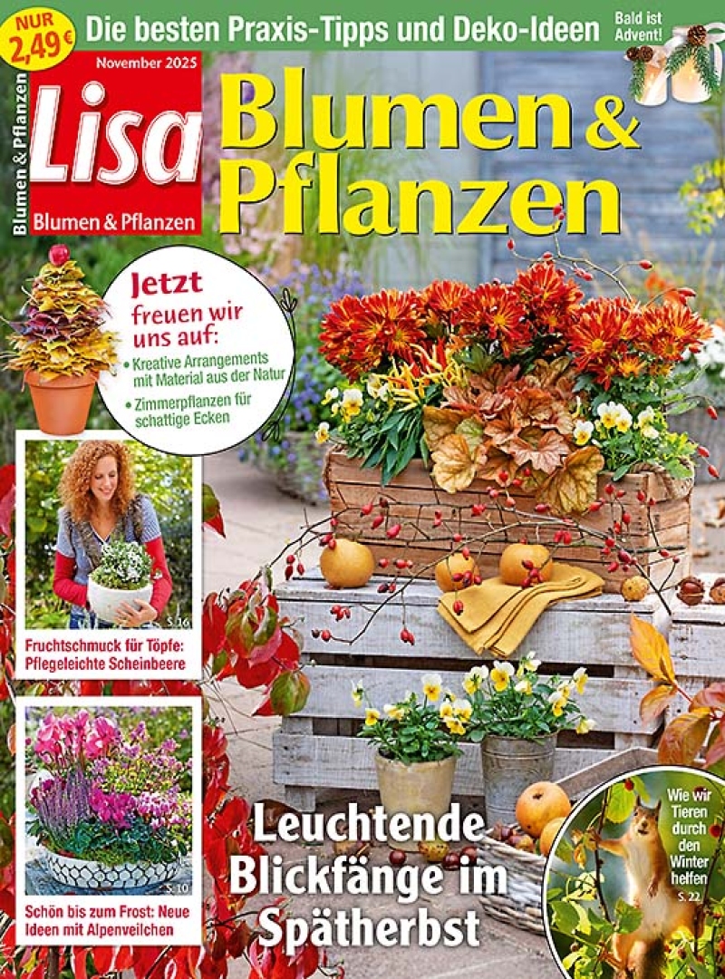 Lisa Blumen & Pflanzen Lisa Blumen & Pflanzen