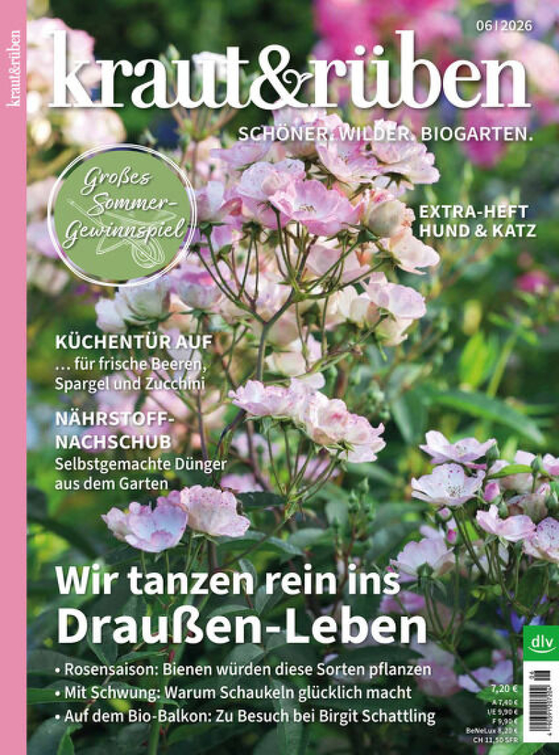 kraut & rüben