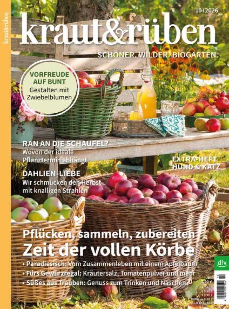 kraut & rüben