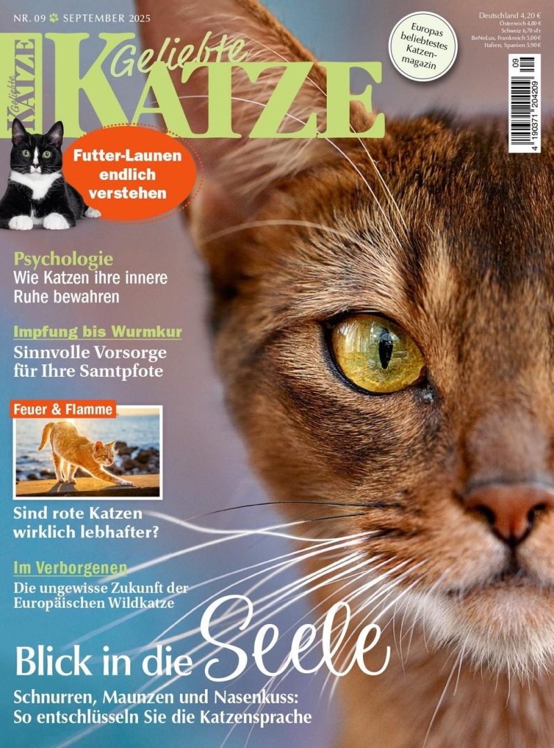 Geliebte KATZE