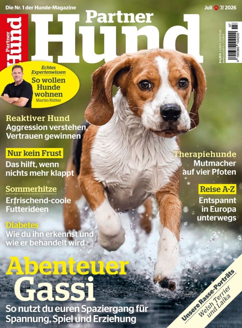 Partner Hund