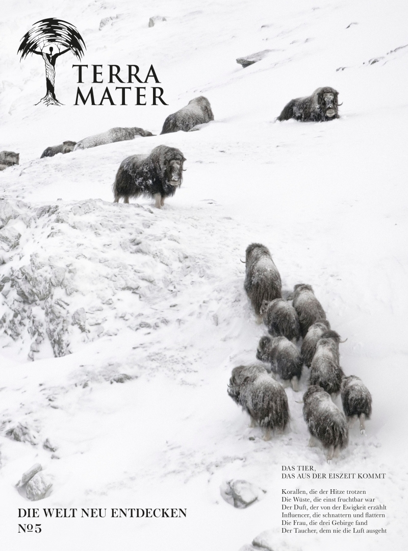 Terra Mater Magazin Terra Mater Magazin