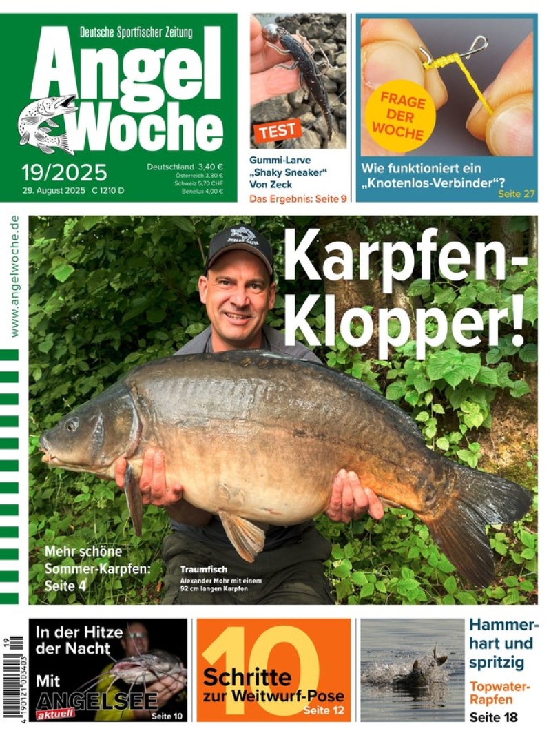 AngelWoche