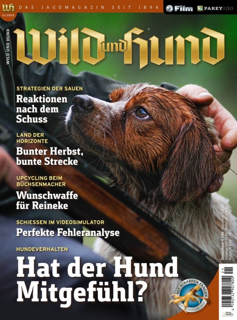 Wild und Hund