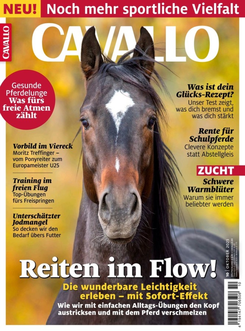 CAVALLO CAVALLO