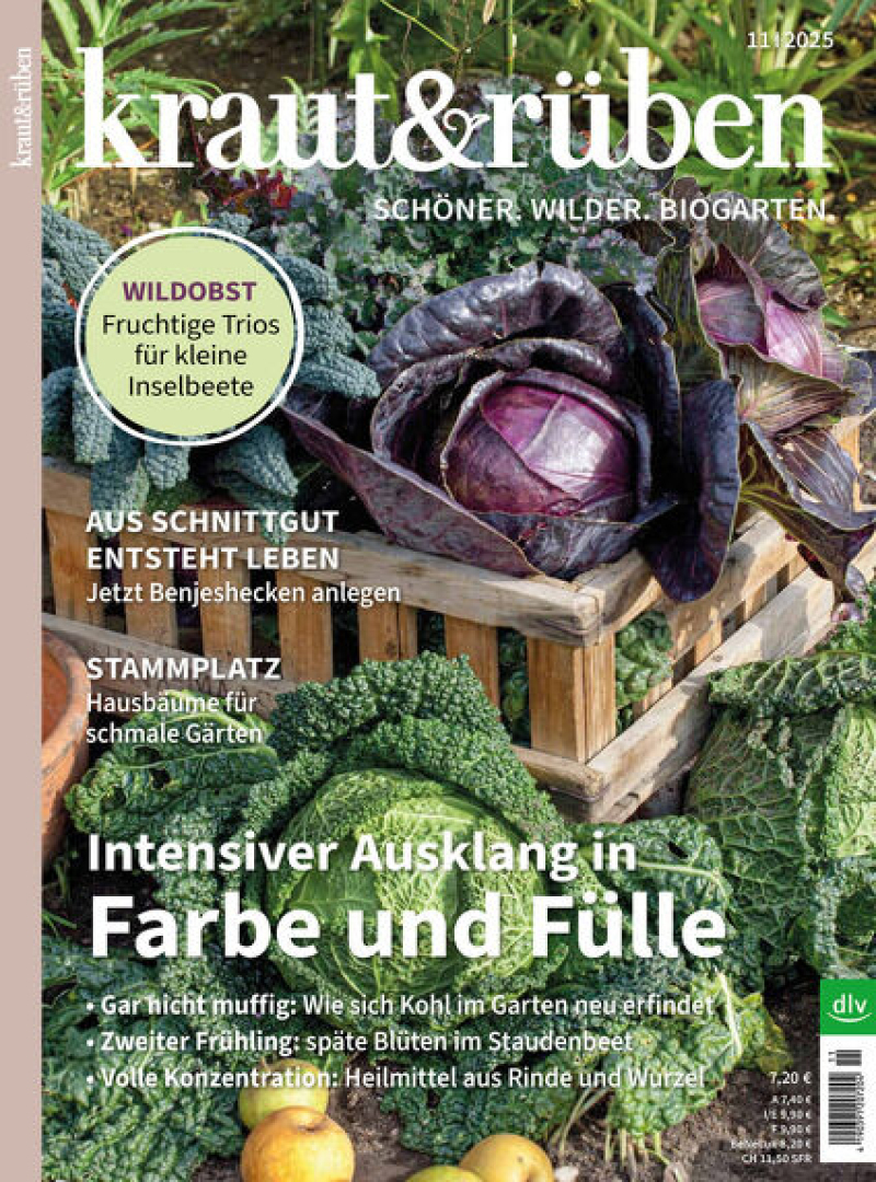 kraut & rüben