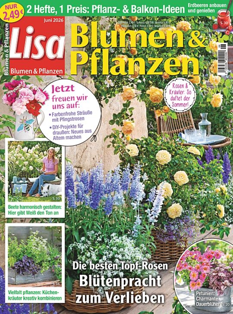 Lisa Blumen & Pflanzen