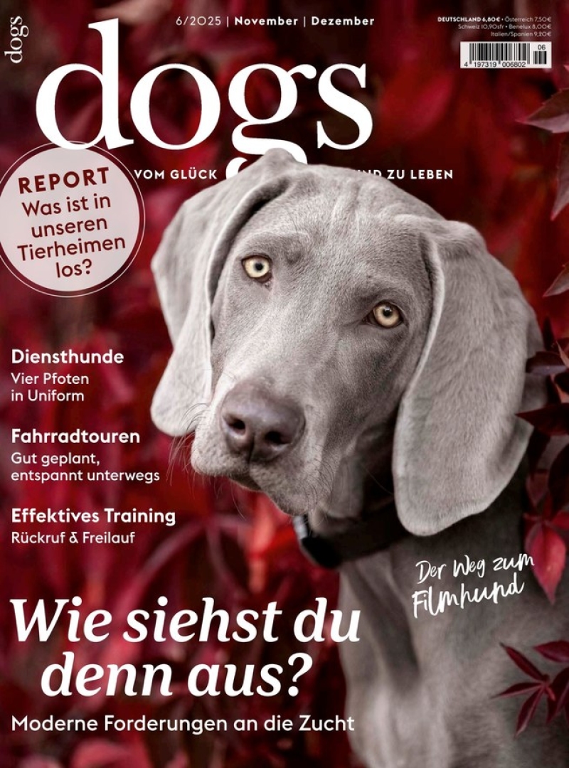dogs